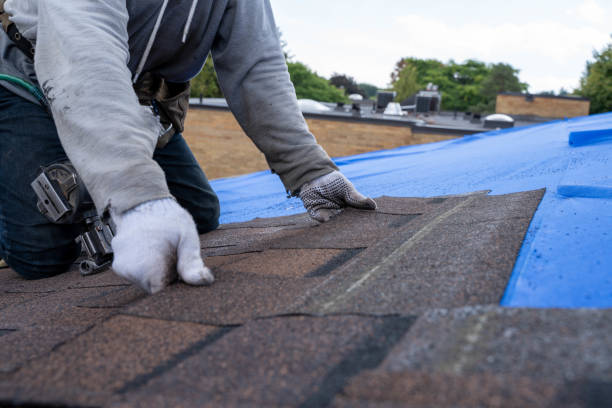 Best Flat Roof Repair Services  in Chesapeake, WV