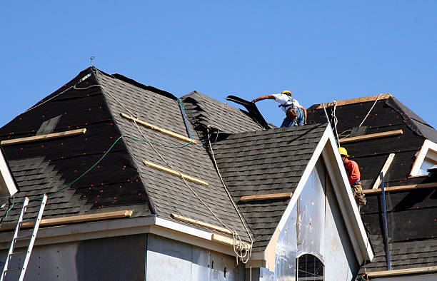 Best Roof Gutter Cleaning  in Chesapeake, WV