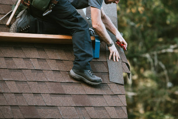 Best Local Roofing Companies  in Chesapeake, WV